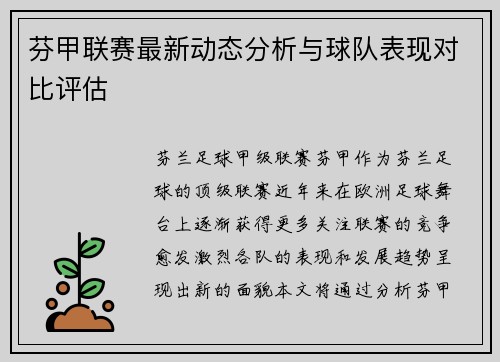 芬甲联赛最新动态分析与球队表现对比评估